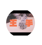 CHATAMP（個別スタンプ：1）