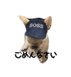 フレブルboss（個別スタンプ：5）