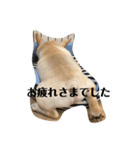 フレブルboss（個別スタンプ：7）