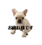 フレブルboss（個別スタンプ：8）