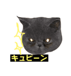 ポル坊（個別スタンプ：4）