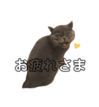 ポル坊（個別スタンプ：9）
