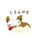 まぬけなコーギー＆ひと（個別スタンプ：16）