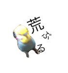 ちょぴん（個別スタンプ：2）