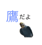 ちょぴん（個別スタンプ：3）