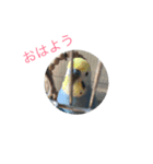 ちょぴん（個別スタンプ：4）