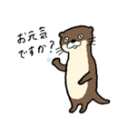 美容師カワウソくん（個別スタンプ：1）