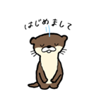 美容師カワウソくん（個別スタンプ：32）