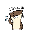 美容師カワウソくん（個別スタンプ：36）