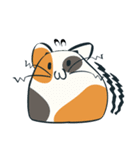 もっちり猫（個別スタンプ：13）
