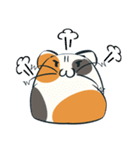 もっちり猫（個別スタンプ：14）
