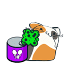 もっちり猫（個別スタンプ：24）