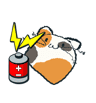 もっちり猫（個別スタンプ：25）