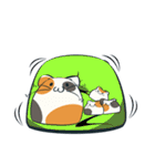 もっちり猫（個別スタンプ：28）
