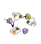 もっちり猫（個別スタンプ：29）