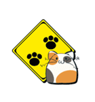 もっちり猫（個別スタンプ：38）