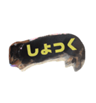 みんな大好き凛たむ（個別スタンプ：3）