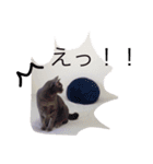 チョコンプ（個別スタンプ：4）