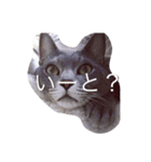チョコンプ（個別スタンプ：8）