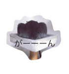 チョコンプ（個別スタンプ：9）