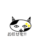 猫 社員（個別スタンプ：3）