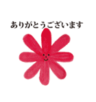 お花 と 日常敬語（個別スタンプ：1）