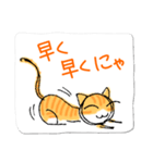 ◆線描き◆にこにこにゃんこ♪猫語日常会話（個別スタンプ：38）