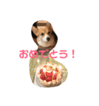 よっぴんちのレオン君（個別スタンプ：2）