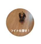 ライト1（個別スタンプ：15）