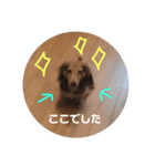 ライト1（個別スタンプ：16）