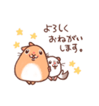 うさぎとチンチラ（個別スタンプ：1）