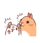 うさぎとチンチラ（個別スタンプ：5）