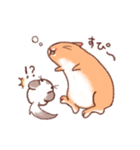 うさぎとチンチラ（個別スタンプ：19）