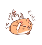うさぎとチンチラ（個別スタンプ：21）