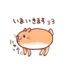 うさぎとチンチラ（個別スタンプ：25）