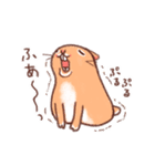 うさぎとチンチラ（個別スタンプ：26）