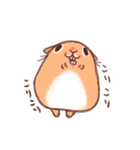 うさぎとチンチラ（個別スタンプ：38）