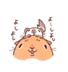 うさぎとチンチラ（個別スタンプ：39）