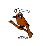 nagiの野鳥スタンプ（個別スタンプ：10）