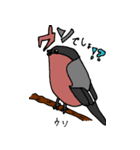 nagiの野鳥スタンプ（個別スタンプ：15）
