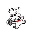 ふんわりねここ（個別スタンプ：5）
