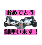 柴犬（美咲）とオートバイ（個別スタンプ：11）