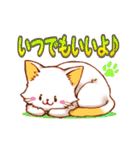 【毎日使える】しろっちと靴下ねこ（個別スタンプ：38）