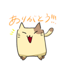 しかくねこ（個別スタンプ：12）