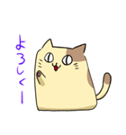 しかくねこ（個別スタンプ：13）