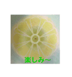 癒しの曼荼羅スタンプ その1（個別スタンプ：16）