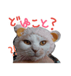三浦のスタンプ（個別スタンプ：2）