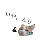 三浦のスタンプ（個別スタンプ：4）