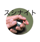 きみたろ文鳥（個別スタンプ：37）