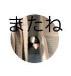 きみたろ文鳥（個別スタンプ：38）